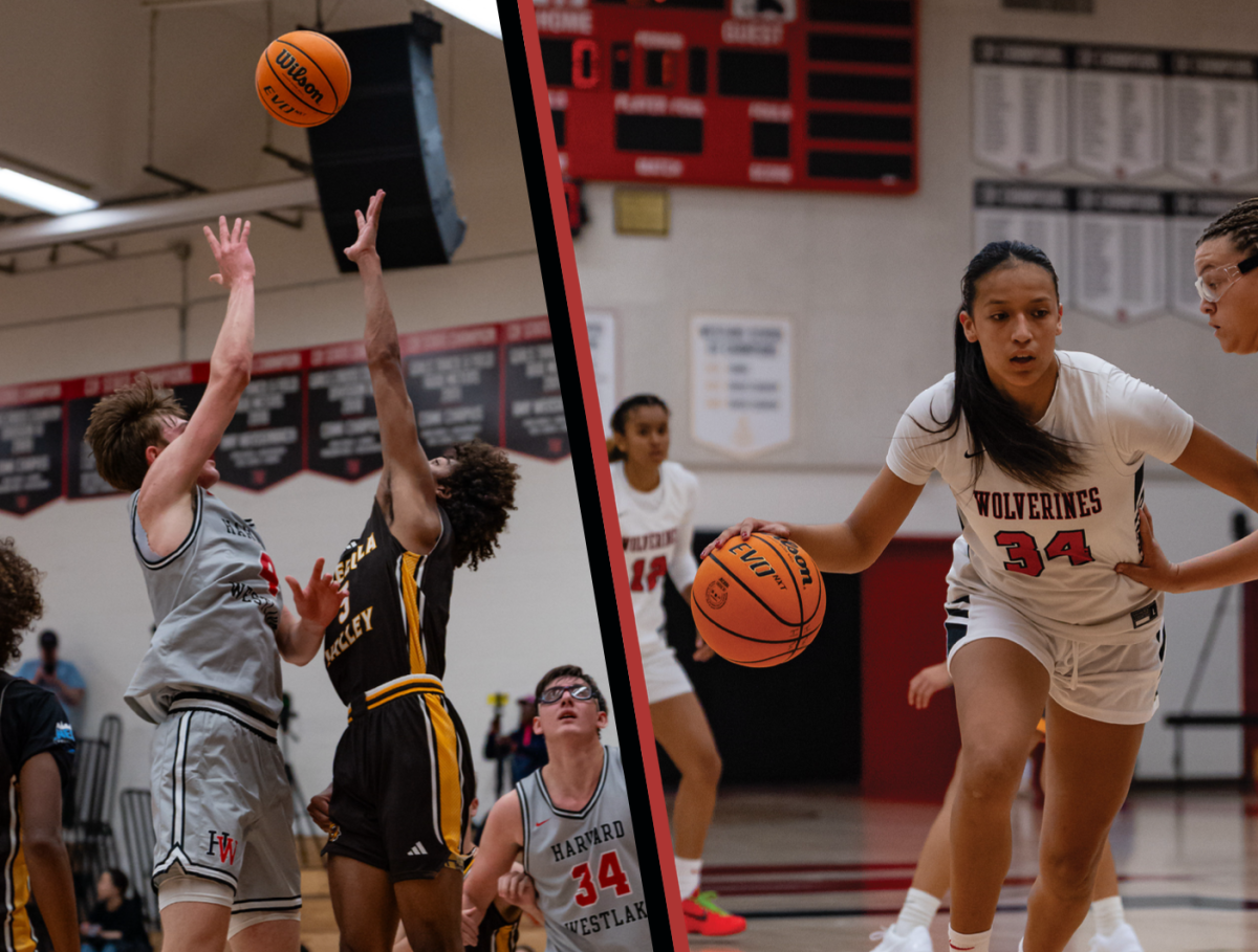 Nik Khamenia '25 takes a shot while Valentina Guerrero '26 dribbles down the court. 